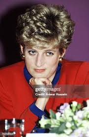 1,674 Aid Mcdonalds Stock Photos, High-Res Pictures, and Images