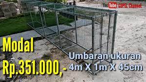 We did not find results for: Membuat Umbaran Burung Bahan Holo Galvanis Panjang 4 Meter Youtube