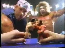Discover and share the best gifs on tenor. Wwe Hasbro Gif Find On Gifer