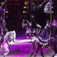 Medieval Times Dinner and Tournament New Jersey