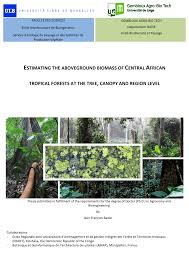 Image result for Oubanguia africana