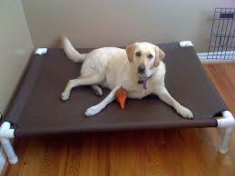 This step by step diy woodworking project is about dog bed plans. Pin On Liberty S Pet Care Travel