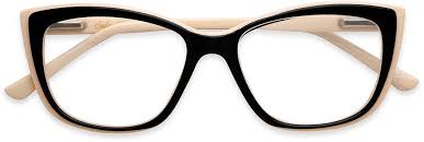 Image result for Felicia grantii