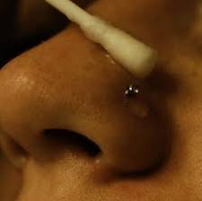 Nose Ring Infections Nose Piercing Infection Nose Piercing Body Piercings