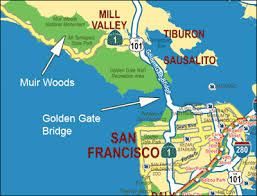 Pin By Emily Willis On Been There Done That Muir Woods National Monument Muir Woods San Francisco Golden Gate Bridge