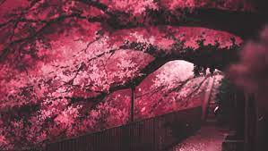 Latest and popular sakura tree gifs on primogif.com. Animated Gif About Pink In Anime Gif By Dreamer
