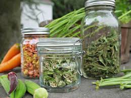 Dry vegetables (winter squash, pumpkins, onions, garlic) require less effort to store. 100 Dehydrator Recipes Food Dehydrator Recipes For Fruit Veggies Meat More