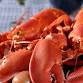 Memorial Day Weekend New England Lobster Boil on Goat Island