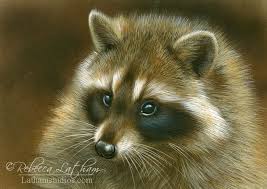 There Isn T Enough Wow In Wow To Describe This Piece Spellbound Raccoon 5in X 7in Watercolor On Board With Animal Art Bird Drawings North American Animals