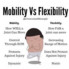 What Is The Difference Between Mobility And Flexibility Strength Conditioning Muscle Women Flexibility