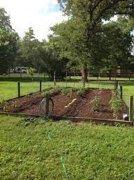 My maximum compost method for starting out. No Till Garden Cardboard In The Walkways Covered With Mulch And Mushroom Compost On Rows Mushroom Compost No Till Garden Sustainable Garden