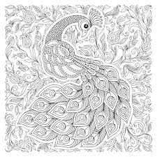 See and discover other items: Peacock In Zentangle Style Adult Antistress Coloring Page Black Royalty Free Cliparts Vectors And Stock Illustration Image 103113994