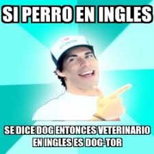 The importance of studying this set of substances. Meme Personalizado Si Perro En Ingles Se Dice Dog Entonces Veterinario En Ingles Es Dog Tor 2055344