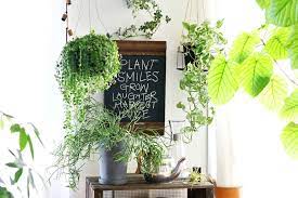 グリーンコーディネーターに教わる インテリアを観葉植物と雑貨でおしゃれに飾るコツ 室内 観葉植物 室内 花 観葉植物