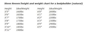 ideal body measurements for men