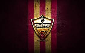 It is the first premier soccer league (psl) team to be based in stellenbosch. Download Wallpapers Stellenbosch Fc Golden Logo Premier Soccer League Purple Metal Background Football Stellenbosch Psl South African Football Club Stellenbosch Logo Soccer South Africa For Desktop Free Pictures For Desktop Free