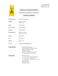 cleaning company profile samples in pdf