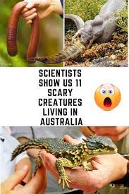 Scientists Show Us 11 Scary Creatures Living In Australia Australia Animals Scary Scary Animals Australia Animals
