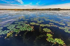 The danube delta is the second largest river delta in europe, after the volga delta, and is the best preserved on the continent. Manualul Online Al Turistului In Delta Dunarii Paralela 45