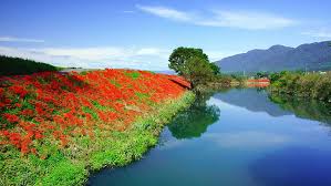 Eğer android kişisel duvar kağıtları senin kadar doğa duvar kağıdı yüklemek ister misiniz? En Iyi Doga Resimleri Indir 1920x1080 Hd Masaustu Duvar Kagidi Wallpaperbetter