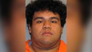 Man pleads guilty to sexual assault of 7-year-old girl