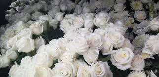 You will find budget sympathy flowers in nashua here. Exotic Flowers Flower Delivery Today In Boston Blog Funeral Flowers