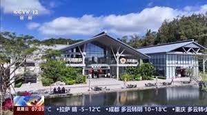 海南自贸港全岛封关运作满月，本地产货物成“香饽饽” - 苏州市凯泰 ...