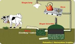 Biogas yang mengandung sejumlah h2o dapat berkurang nilai kalornya. Berikan 2 Contoh Hambatan Menggunakan Biogas Untuk Materi Tema 6 Kelas 3 Sd Halaman 144 Energi Alternatif Kabar Lumajang