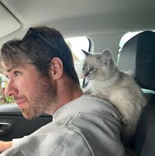 Idaho Ragdoll Cats for Rehoming