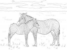 These printable colouring pages are totally free and feature various character for those who are but don't stop them if they go on colouring a zebra with rainbow colours, that's the art of creativity! Pin On Drawing