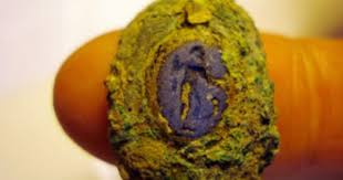 Sacred Roman Well Discovered In Portsmouth Archaeology Archaeological Discoveries Discovery