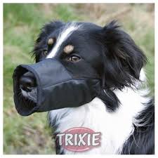 Trixie Kopek Agizlik Xs 12cm Siyah Fiyati Taksit Secenekleri