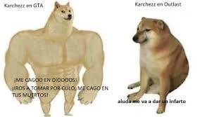 Pin De Emilia Gma En Gustabo Y Horacio En 2020 Perros Graciosos Imagenes Graciosas Memes