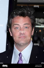 Matthew perry 17 again 2009 hi-res stock photography and images