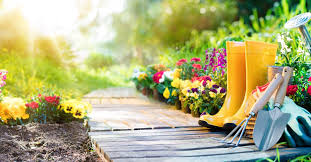 Spring Garden Preparation