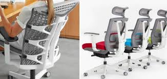 Kinn Chair Vs Ergochair 2 2021 A Review Of Popular Autonomous Ergonomic Chairs Compare Before Buying