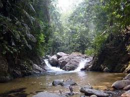 Sungai bil dikategorikan sebagai antara sungai terbaik di negeri perak. Gallery Of Photos