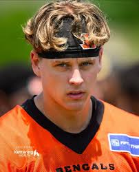 Bengals ai themes. ( Some have bad spelling sorry )