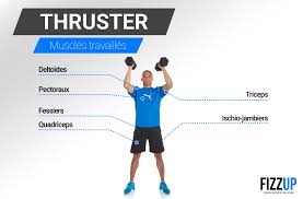 Il couvre une grande partie du dos et intervient dans l'adduction, l'extension et la rotation interne de l'épaule. Developpez Votre Masse Musculaire Grace Au Thruster Fizzup