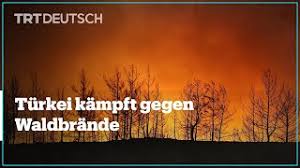 Mindestens drei menschen sollen dabei ums leben gekommen sein. B1pjuotzmrieam