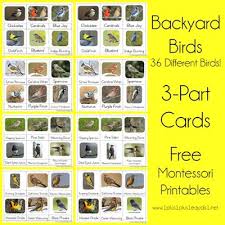 Her love for plants is contagious and has rubbed off on her siblings. Free Montessori Materials Online