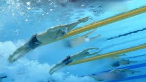 منتخب فلسطين يصل السعودية للمشاركة في تصفيات كأس وزير الرياضة يستقبل نظيره الروسي ويبحثان التعاون المشترك. Ø§Ù„Ø³Ø¨Ø§Ø­Ø© ÙˆÙÙˆØ§Ø¦Ø¯Ù‡Ø§ Ø§Ù„ØµØ­ÙŠØ© Ø¹Ù„ÙˆÙ… ÙˆØªÙƒÙ†ÙˆÙ„ÙˆØ¬ÙŠØ§ Ø¢Ø®Ø± Ø§Ù„Ø§ÙƒØªØ´Ø§ÙØ§Øª ÙˆØ§Ù„Ø¯Ø±Ø§Ø³Ø§Øª Ù…Ù† Dw Ø¹Ø±Ø¨ÙŠØ© Dw 17 01 2014