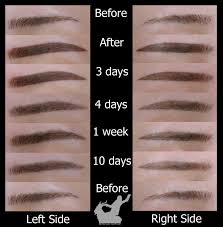 Ombre Eyebrow Tattoo Healing Stages