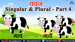 hindi grammar lessons singular plural part 4