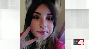 Family says DCFS failed to protect 14-year-old after adoptive brother  charged with murder in Vandali