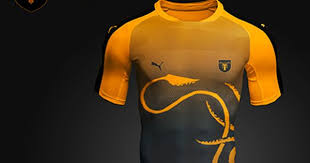 Download Check Out New Work On My Behance Portfolio House Greyjoy Concept Kit Http Be Net Gallery 47997651 House Gr Sport Shirt Design Sports Shirts Football Kits