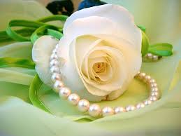 Check spelling or type a new query. Red Rose Love Quotes Quotesgram