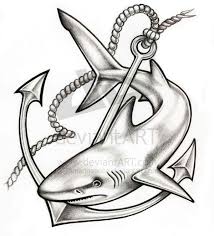 Pin By Roslyn Wallbank On Tattoo Shark Tattoos Shark Drawing Nautical Tattoo