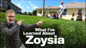 It can also be found in the north, but will turn brown once the weather turns cold. Top 5 Reasons Why I Love Zoysia Grass Youtube