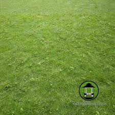 Pupuk yang diberikan adalah pupuk urea dengan dosis 1/2 kg untuk area 10 meter persegi yang. Jual Rumput Golf Harga Rumput Golf Terbaru 2020